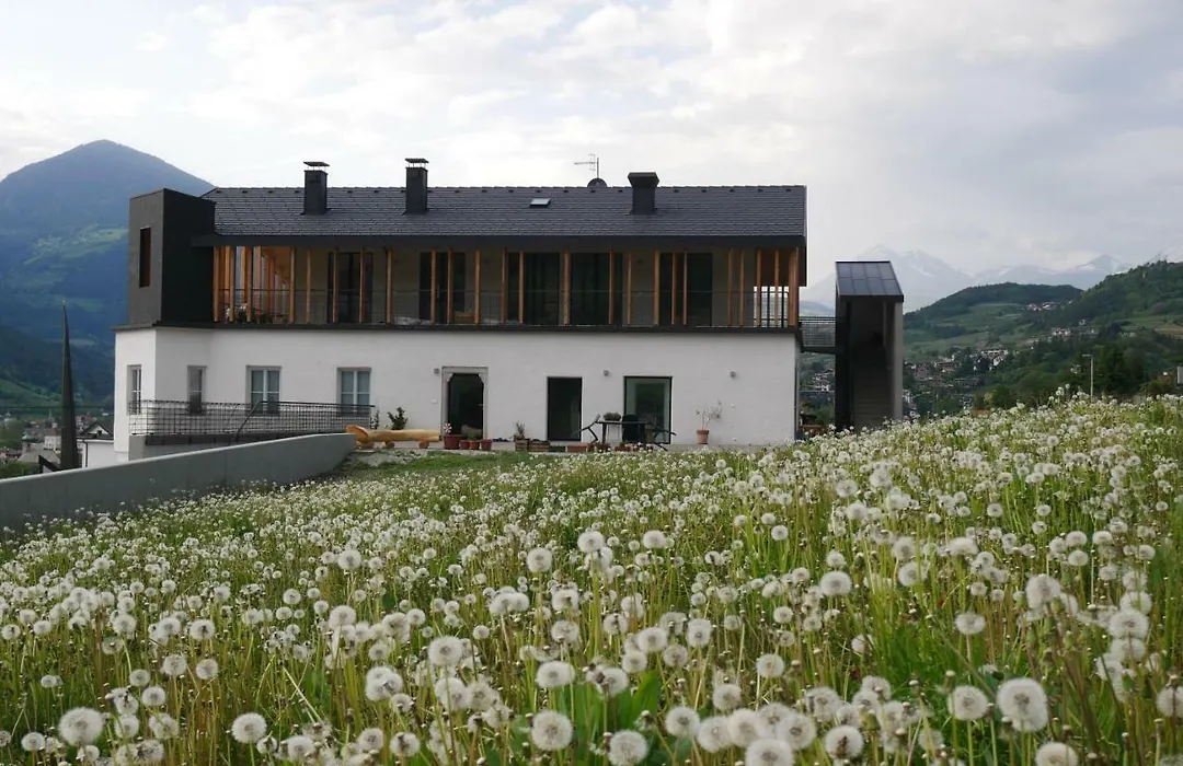 Vintlerhof-1